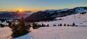 Appartements Appart 3 pieces Cosy - ideal famille & sports Le Cairn De Samoens : photos des chambres