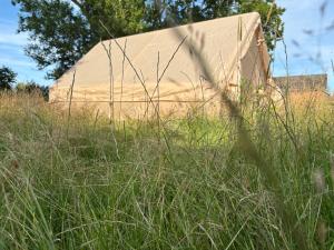 Gasthaus zur Grenze Zeltplatz