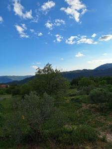 new renovation House Dinov San