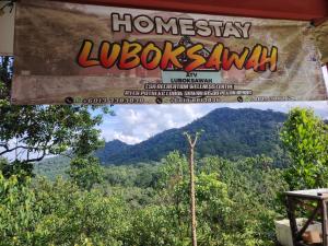 Homestay LubokSawah