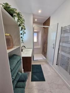 Appartements Gite 2 chambres au coeur de la cite medievale : photos des chambres