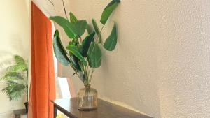 Duplex - Air-conditioned - City Center