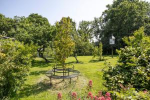 Willow at Gorslwyd - Sound Retreat