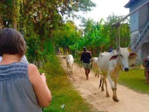 Monyharch Angkor Homestay,