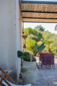 Collemeti - Country House