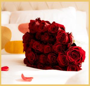 Appartements B Unique Appartement Jacuzzi I Cinema : Appartement 1 Chambre