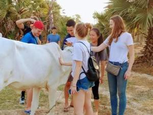 Monyharch Angkor Homestay,