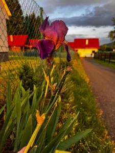 Stolove Chatki Radków