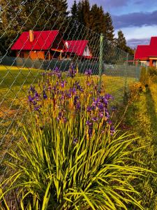Stolove Chatki Radków