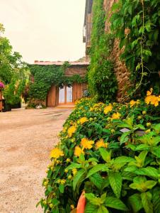 Cortijo Los Castaños - Capileira
