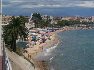 Appartements Studio cosy proche des plages de Golfe Juan : Studio