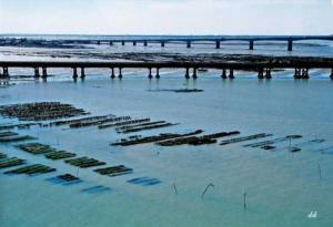 Campings Camping 4 etoiles - Piscine - ccbbiai : photos des chambres