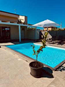 Villa Zagara modern villa with pool