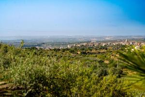 Collemeti - Country House