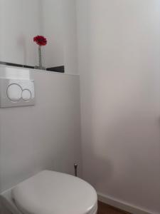 s Kännele Ferienwohnungen