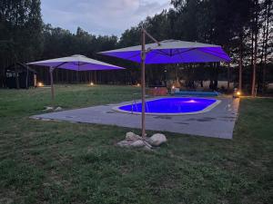 EkoRelax & Fun Resort