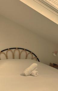 The Lafayette Charm & Practicality in the heart of Lyon