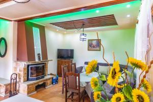 Cozy Villa Retreat in Cigov Chark