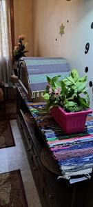 Unique apartment close to Cairo Airport with free airport dropoff 毗邻开罗机场的豪华公寓 提供免费机场交通服务