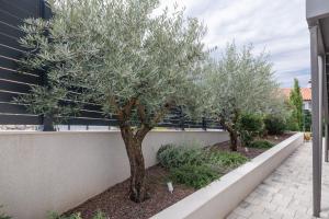 Lulani Soline Pool Apartment