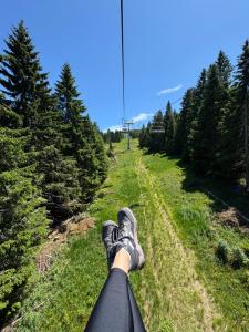 Apartman Kopaonik Woodside 106