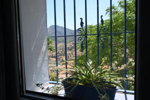 Sweet Water Caminito del Rey