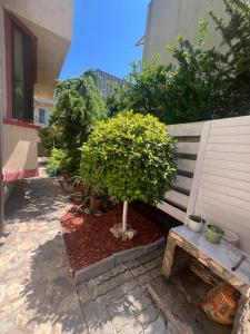 Emmaia Escape Eforie Nord