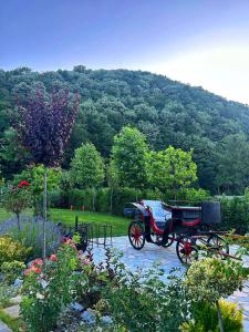 Ograda Bunicului Seaca