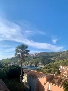 Appartement vue mer 2-4 P - 4hvězdičkové hotely ve městě Cerbère