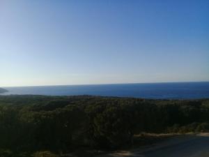 maison de charme au cœur du foret et plage de la grotte Bizerte