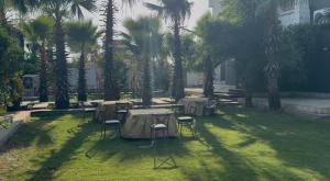 The Kalyaneshwar Dixit Hotels & Resorts