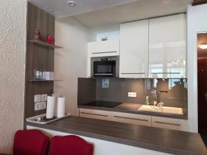 Le Serac Panoramic Mountain View spacious 40m2 managed by private host