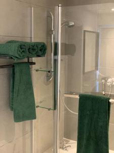 Well-equipped studio apartment