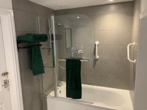 Well-equipped studio apartment