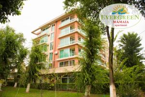 Evergreen Vlas Mamaia Sud