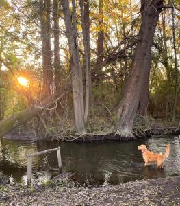 Casa Kallfv, cabaña en Los Ángeles