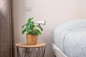 Appartements Central studio, perfect for discovering Aix on foot : photos des chambres