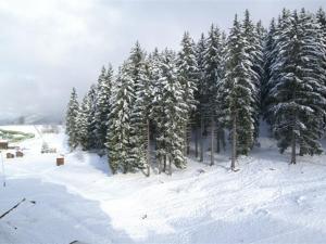 Appartements Studio cabine pieds des pistes avec balcon et casier a skis - FR-1-557-47 : photos des chambres