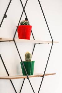 Appartements M81 Marquer joli t2 proche de la gare : Appartement 1 Chambre