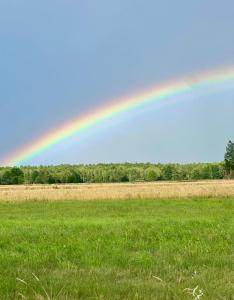 Poleskie zacisze, domek Bocian, kominek, balia,sauna,wifi