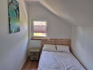 9azaliowa Domy całoroczne w Dębinie