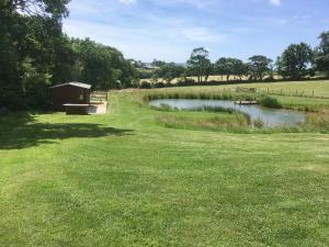 Lower Shippen - 23493