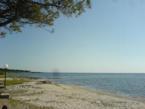 Rotonda Sul Mare img17