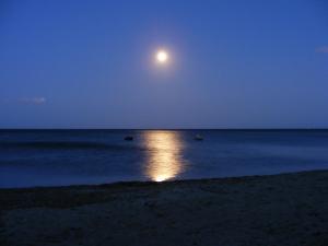 Rotonda Sul Mare img14