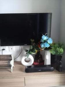 Sunworld Arista T10 ,906