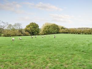Farmhouse Garden Shepherds Hut