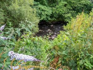 Ty Afon Arch - Uk38515