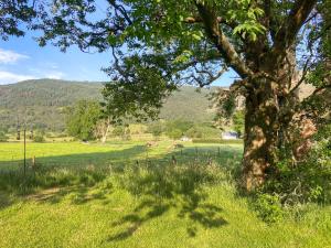 Hobgoblin Apartment - Uk42205