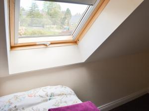 Swans Nest - Uk43545