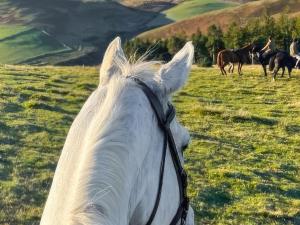 Stewards Bothy - Uk48303